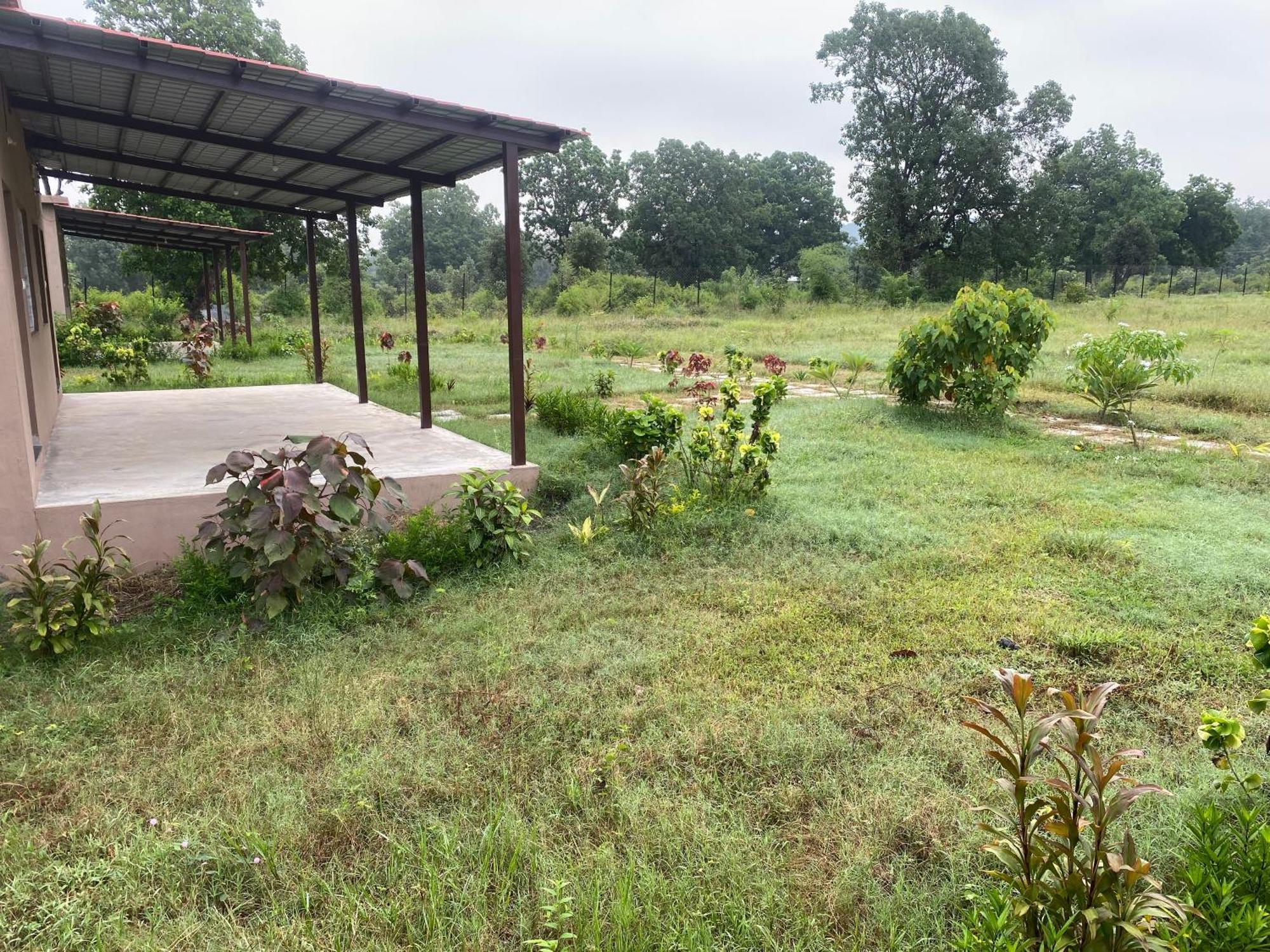 Wildlife Retreat Hotel Tala  Luaran gambar